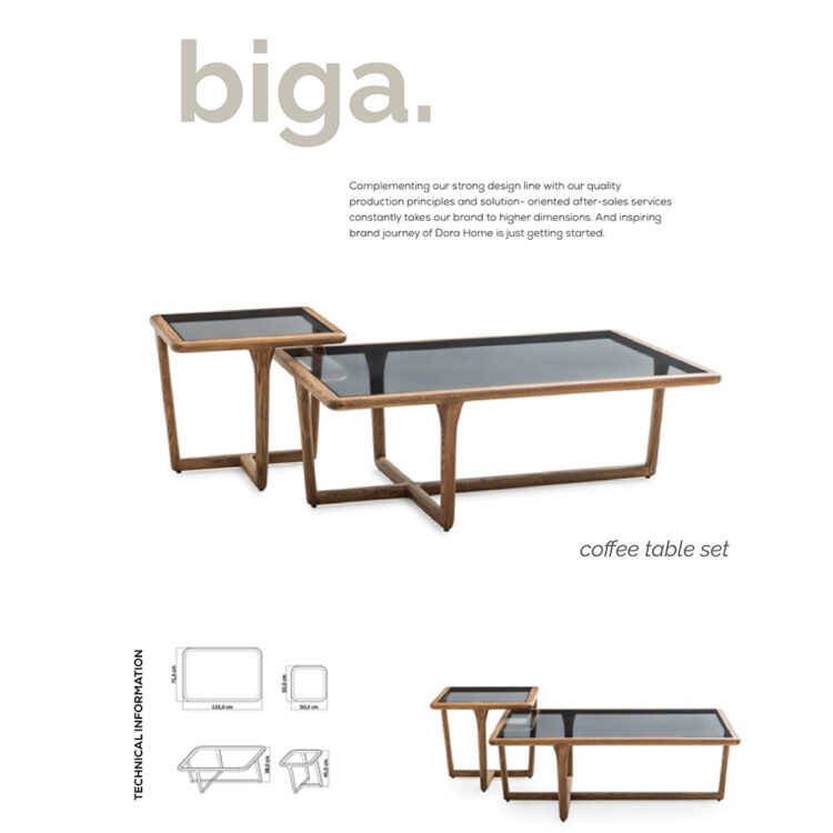 Coffee Table Set