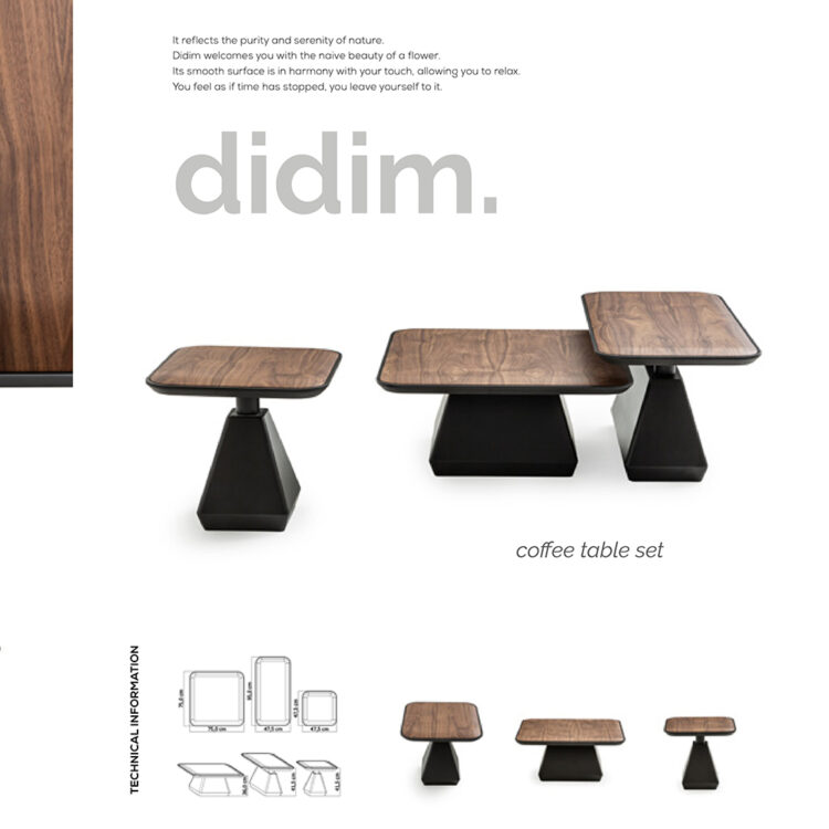 Coffee Table Set
