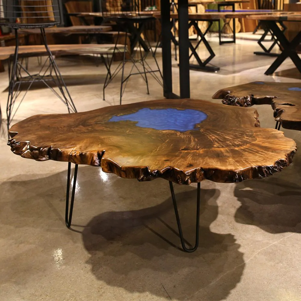 Walnut and Resin Coffee Table